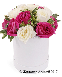 ����� ��������� ������� � ������� �������