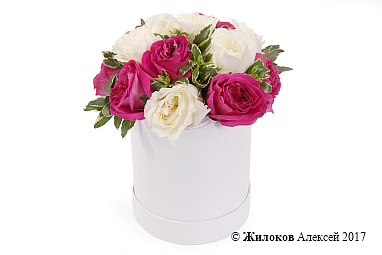 ����� ��������� ������� � ������� �������