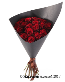 ����� ������ �������