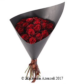 ����� ������ �������