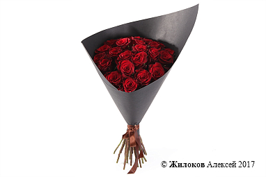 ����� ������ �������