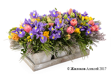 ���������� ��������� ���� � �����