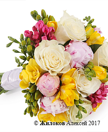 ����� ������� �����