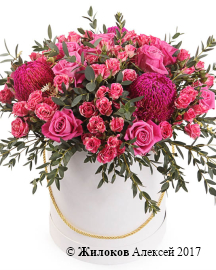 ����� ������ ��������� � ������� �������