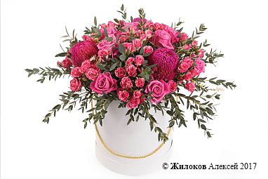 ����� ������ ��������� � ������� �������