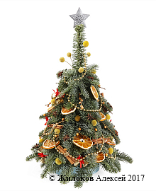 ���������� ����������� ������ � �����