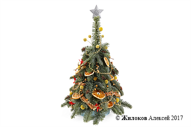 ���������� ����������� ������ � �����