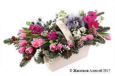 ���������� ���� � ���� � �����