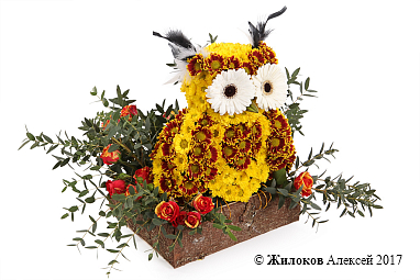 ���������� ������� ����