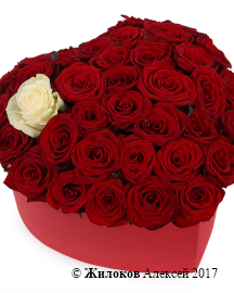 ����� ��� ������ � �������� � ������� ������� ������