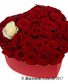 ����� ��� ������ � �������� � ������� ������� ������