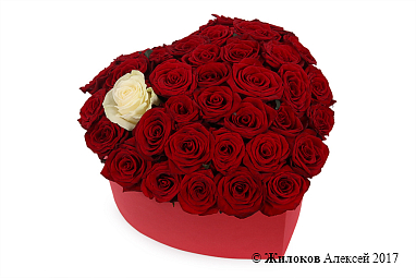 ����� ��� ������ � �������� � ������� ������� ������