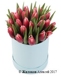 ����� 25 ����������� ��������� � ������� �������, ����