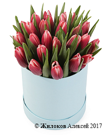 ����� 25 ����������� ��������� � ������� �������, ����