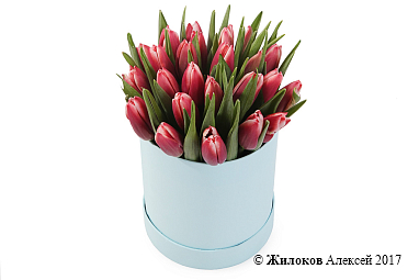 ����� 25 ����������� ��������� � ������� �������, ����