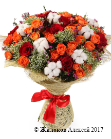 ����� � ������� �������