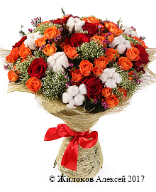 ����� � ������� �������