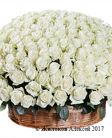 ����� 301 ���� �������� � �������