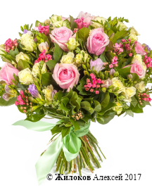 ����� ������� ��������