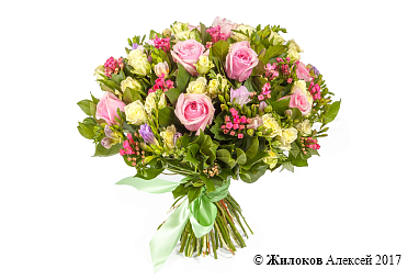 ����� ������� ��������