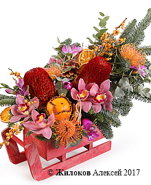 ���������� ���� ����� � �����