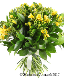 ����� � �������� ������ � ����