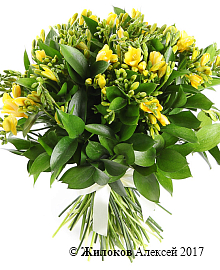 ����� � �������� ������ � ����