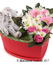 ����� ������ ������� � ������� ������� ������