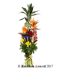 ����� �������