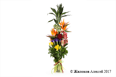 ����� �������