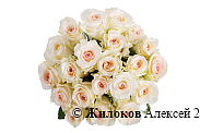 Букет 21 роза Сеньорита
