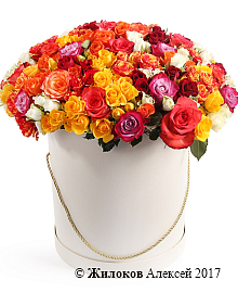 ����� 101 ������� � ������� �������