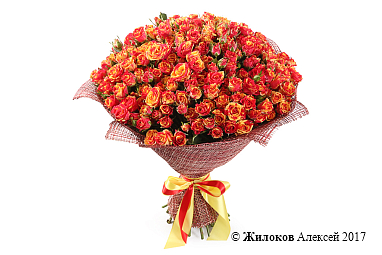 ����� 50 �������� ��� ���� ����