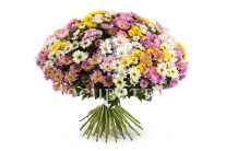 ����� 51 ���������� �������