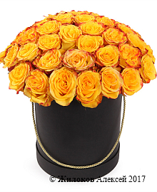 ����� 51 ���� ��� ����� � ������ ������� �������