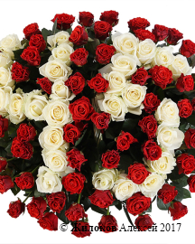 ����� ���������� ����� �� 101 ���� � �������