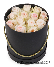 ����� 13 ��� ��������� � ������� �������