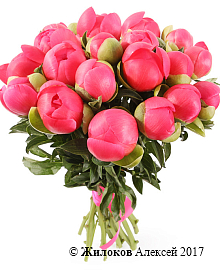 ����� �� ������ ������� ������