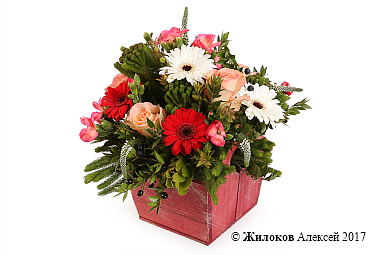 ���������� �������� ��� � �����