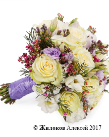 ����� ������� �����