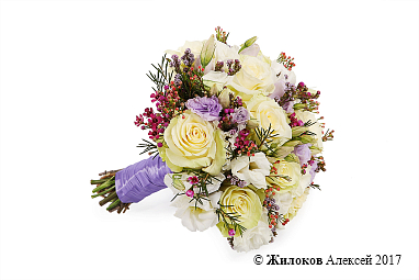 ����� ������� �����