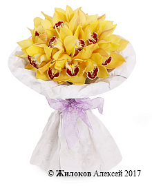 ����� �� ������� ���������� ���������