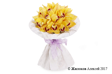 ����� �� ������� ���������� ���������