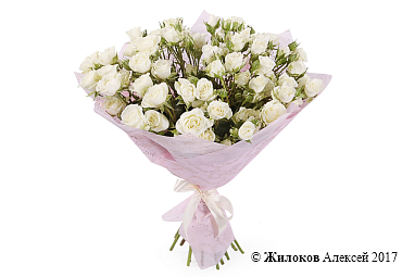 ����� 19 �������� ��� ���������