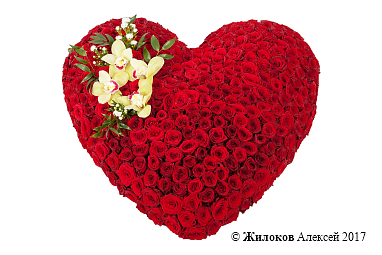 ���������� ������ ����