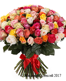 ����� ����������� ������� (101 ����)