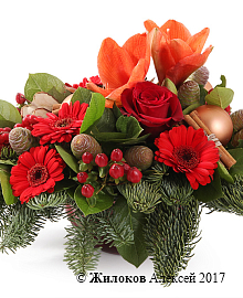 ���������� ����������� ���� � �����