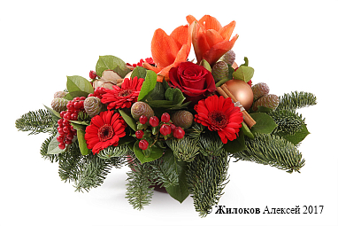 ���������� ����������� ���� � �����