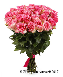 ����� 35 ��� ������