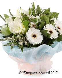 ����� ��������